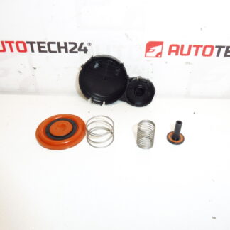 Kit membrane couvercle de soupape 1.6 HDI 0248S0