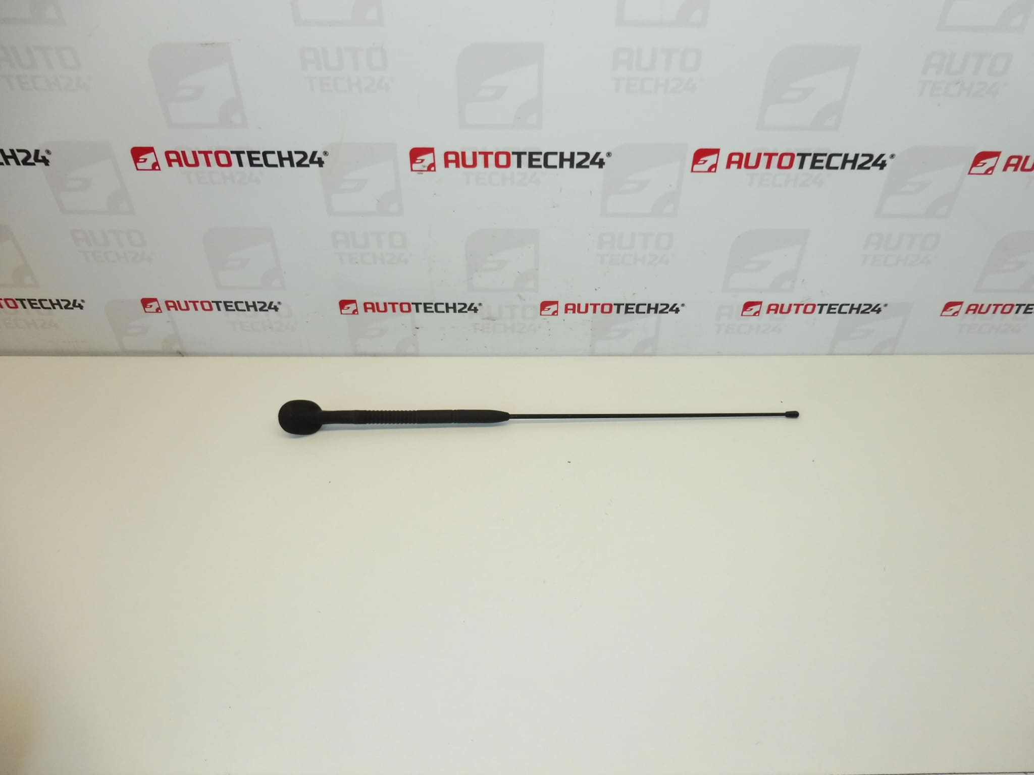 Antenne Complète Citroën C3 Pluriel 6561R7 656197