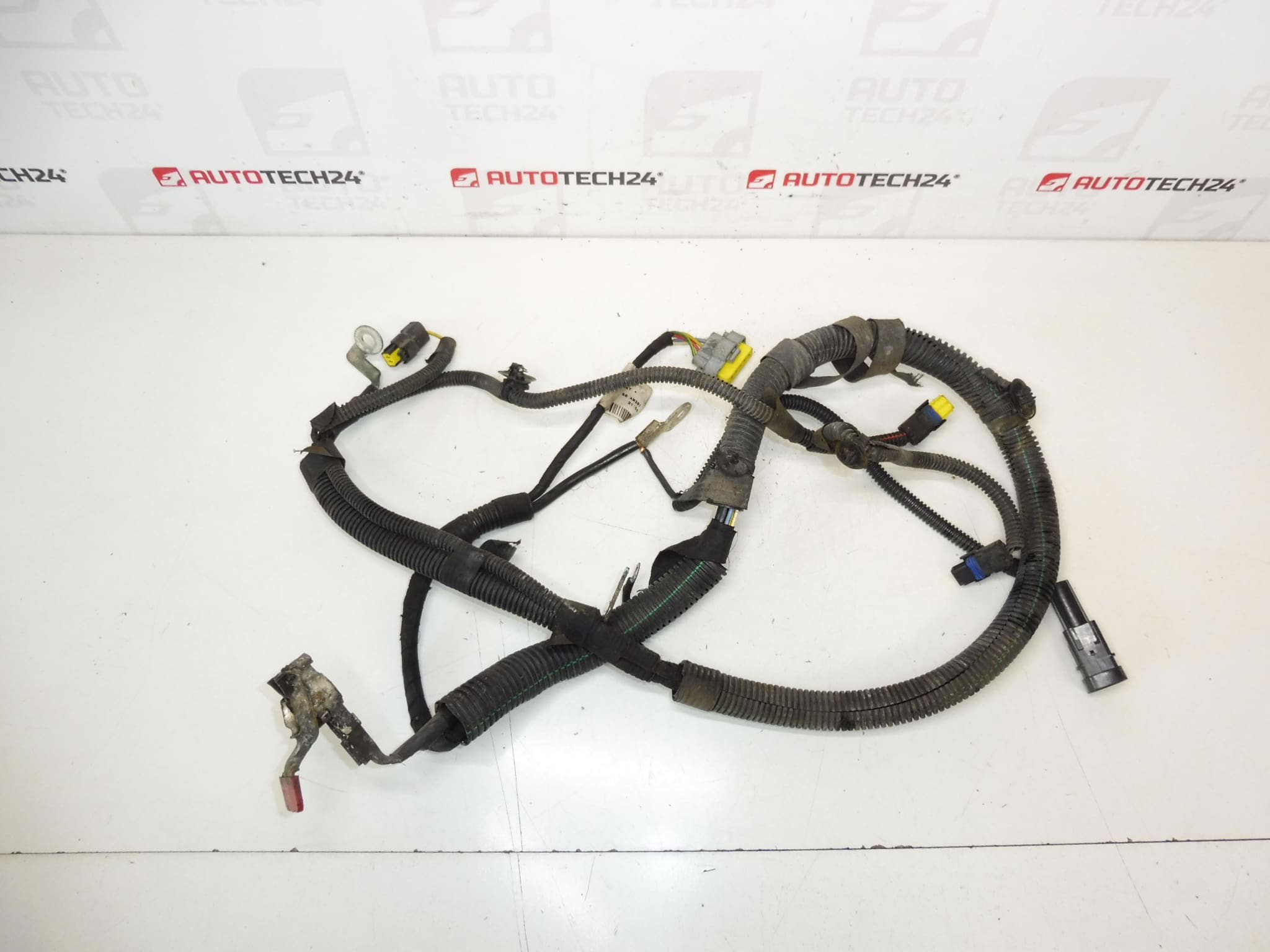 Faisceau Moteur Citroën Peugeot 2.0 HDI RHR 9663641780 5642QZ